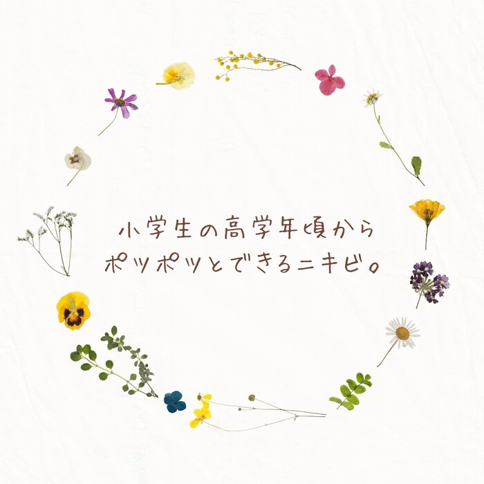 画像462