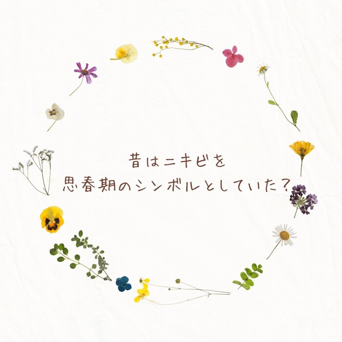 画像464