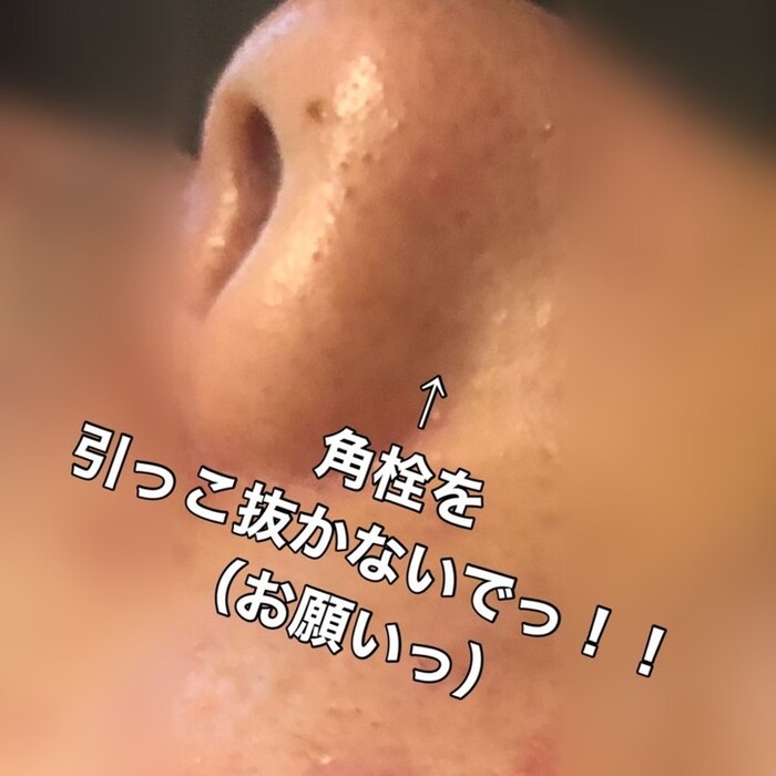 画像486