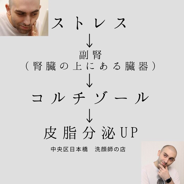 画像548